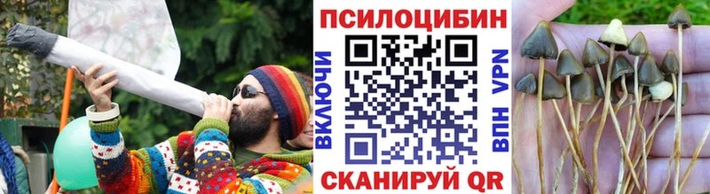 Галлюциногенные грибы Magic Shrooms  Волоколамск 