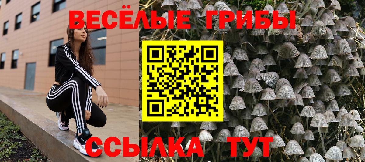 Галлюциногенные грибы GOLDEN TEACHER  Галлюциногенные грибы Magic Shrooms  Вход с VPN  Волоколамск 